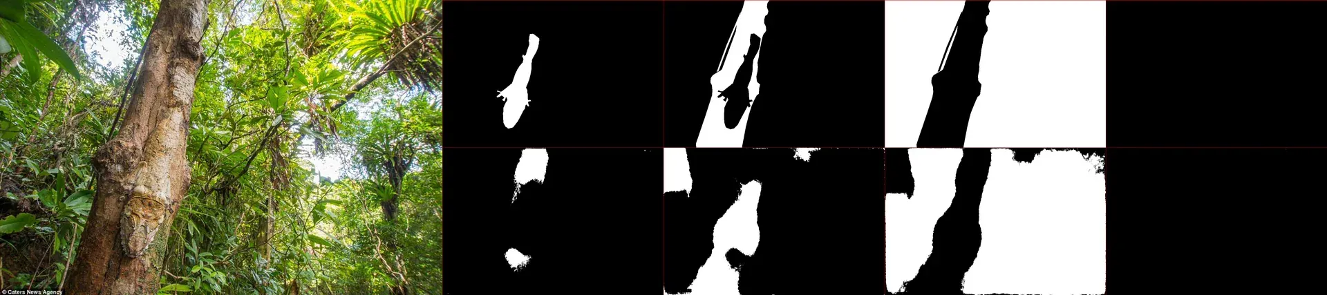 Animal Detection Neural Network - Image 3