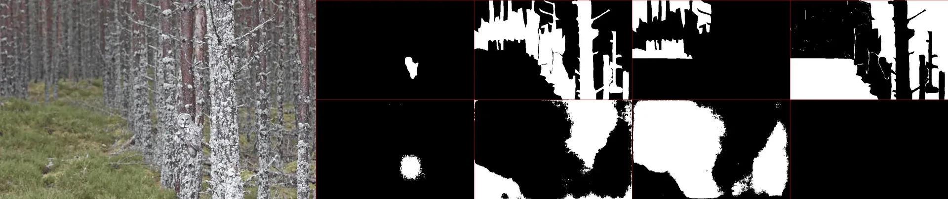 Animal Detection Neural Network - Image 4