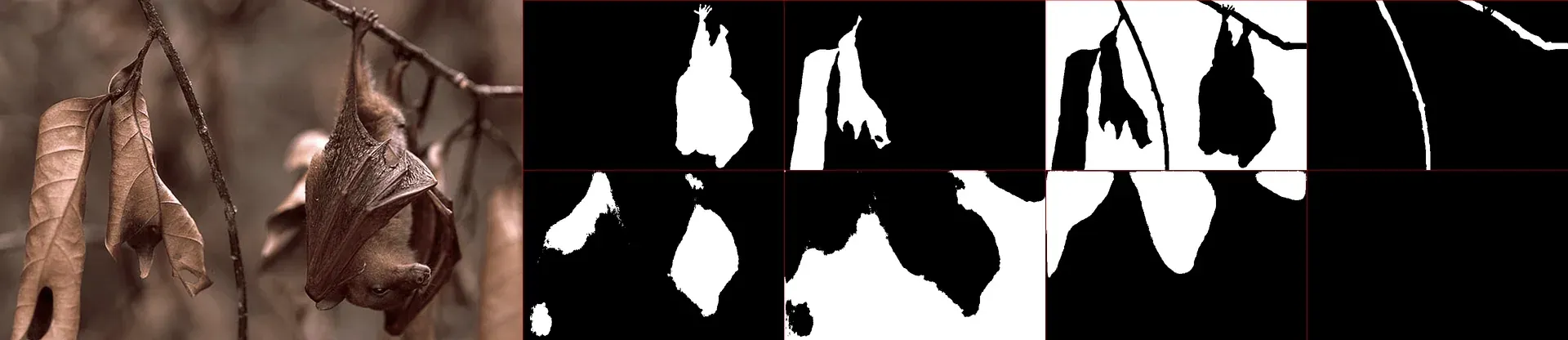 Animal Detection Neural Network - Image 5