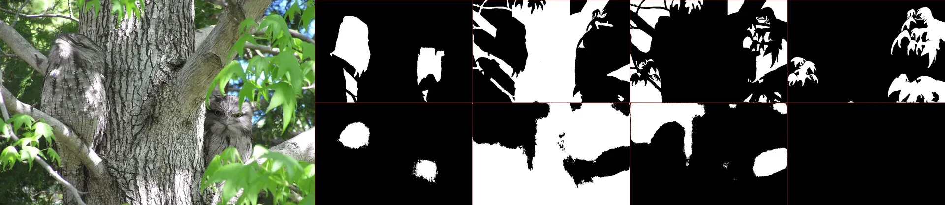 Animal Detection Neural Network - Image 6