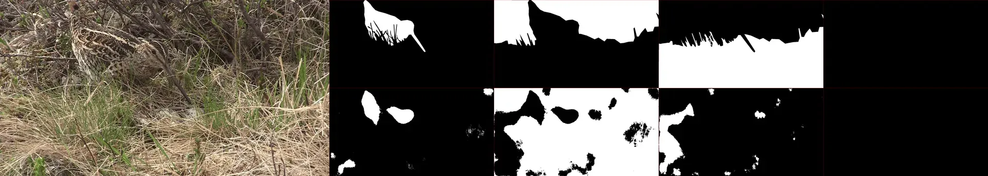 Animal Detection Neural Network - Image 7