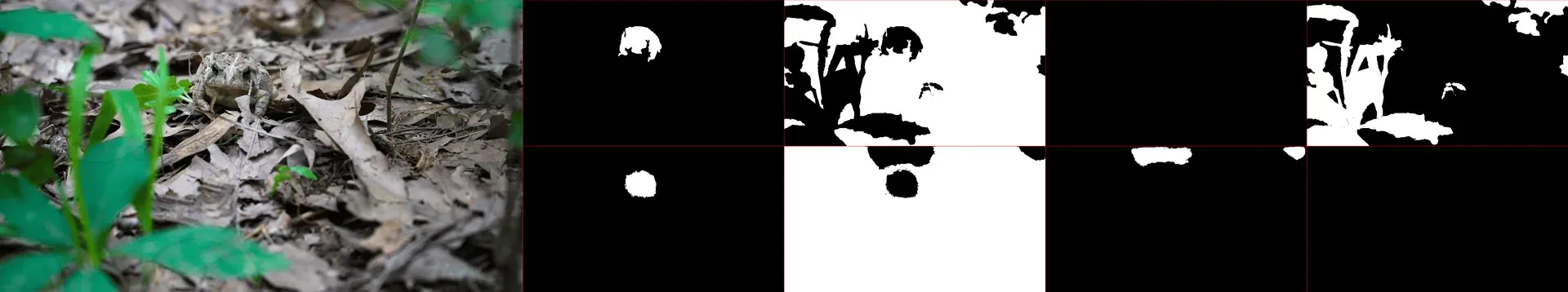 Animal Detection Neural Network - Image 8