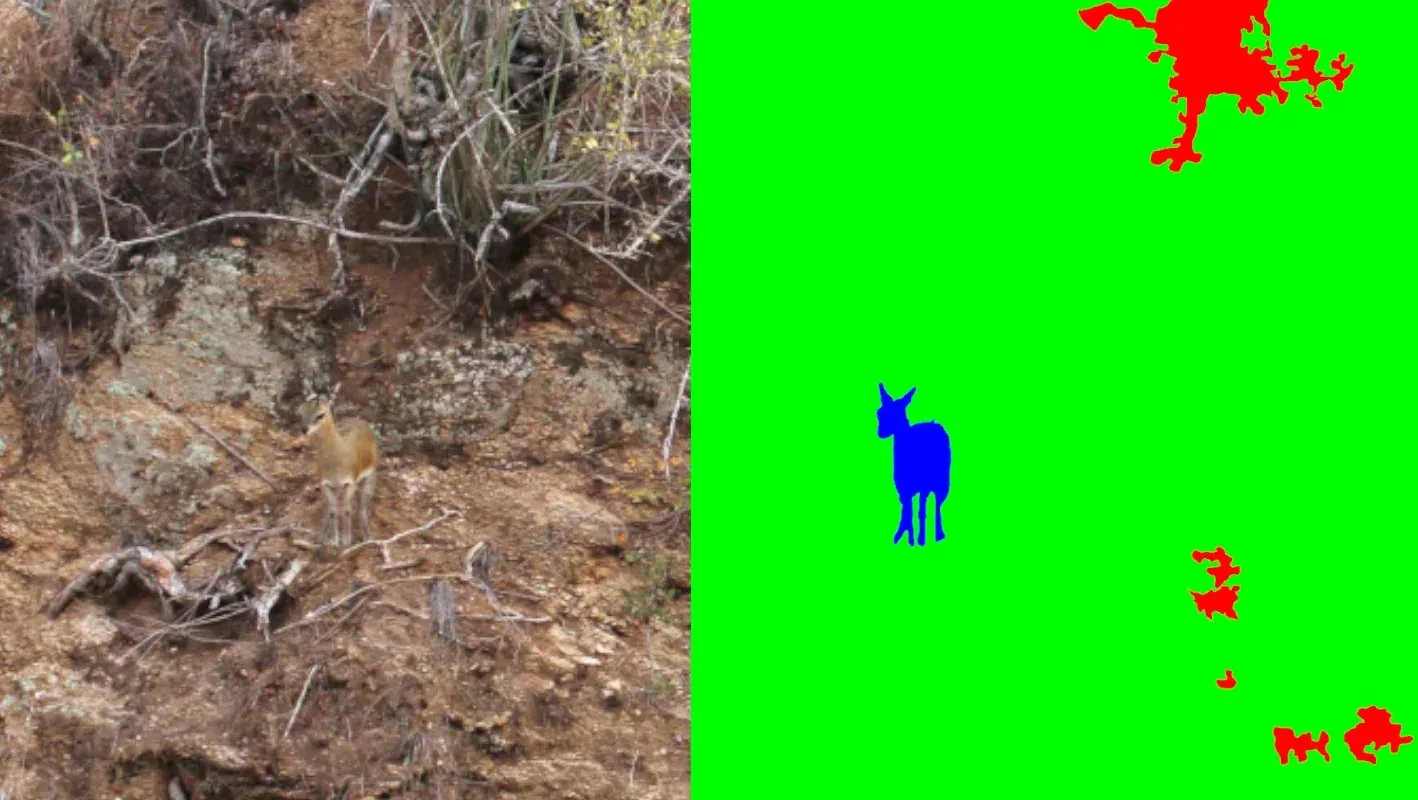 Animal Detection Neural Network