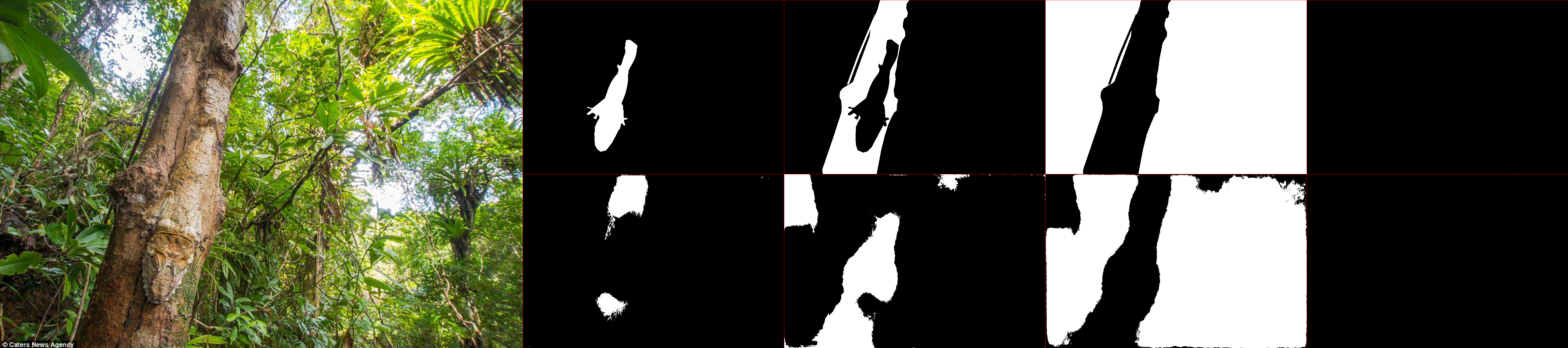 Animal Detection Neural Network - Image 3