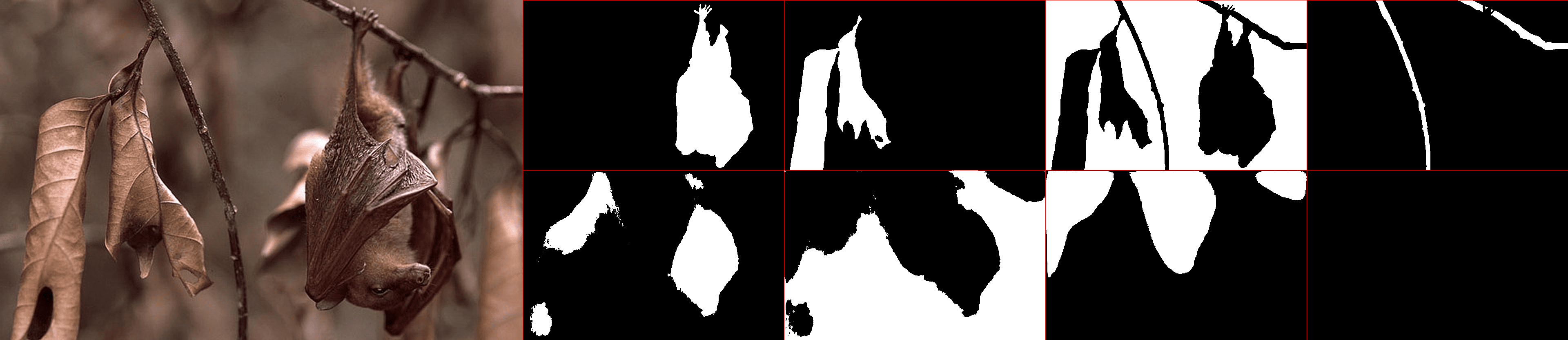 Animal Detection Neural Network - Image 5