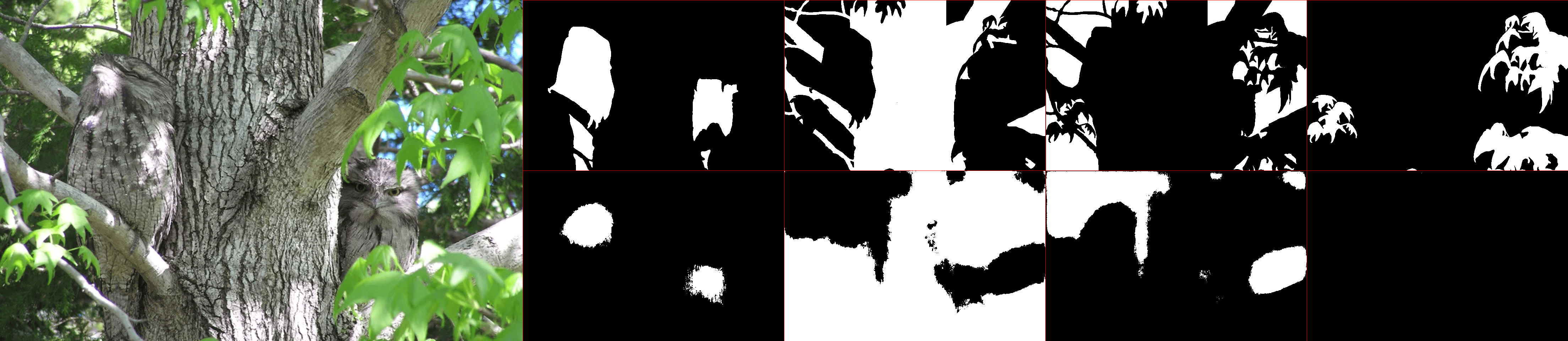 Animal Detection Neural Network - Image 6