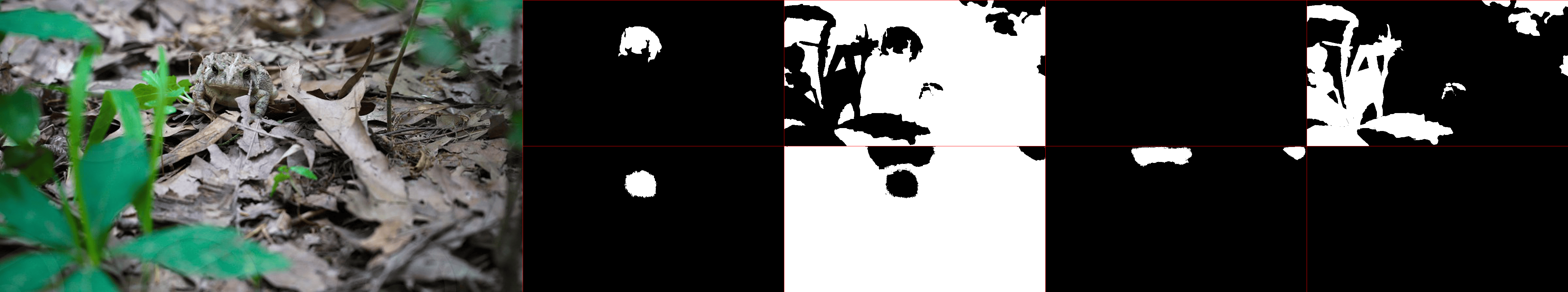 Animal Detection Neural Network - Image 8